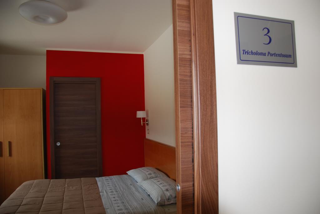 Guest House Caracas Lorica Buitenkant foto